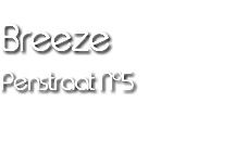 Breeze Penstraat No5